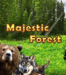 Majestic Forest
