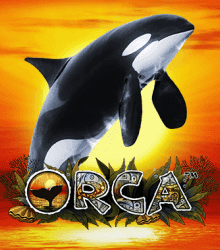 Orca