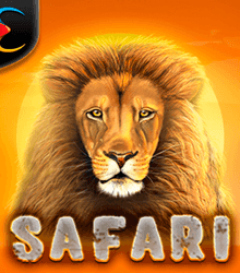 Safari
