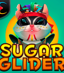 Sugar Glider