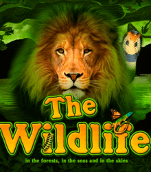 The Wildlife