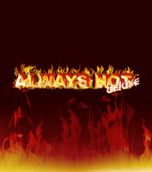 Always Hot Deluxe