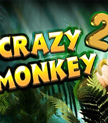 Crazy Monkey 2